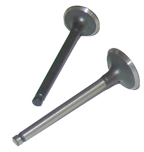 110cc 4-stroke Engine Valve Set