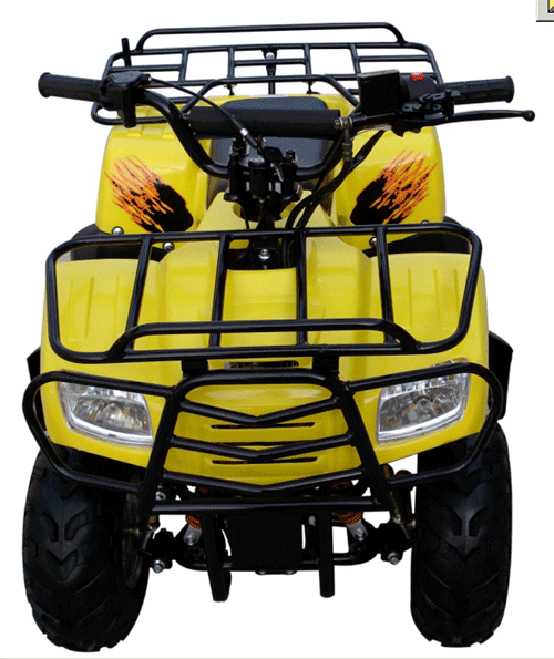 Peace Mini Hummer ATV (110cc)